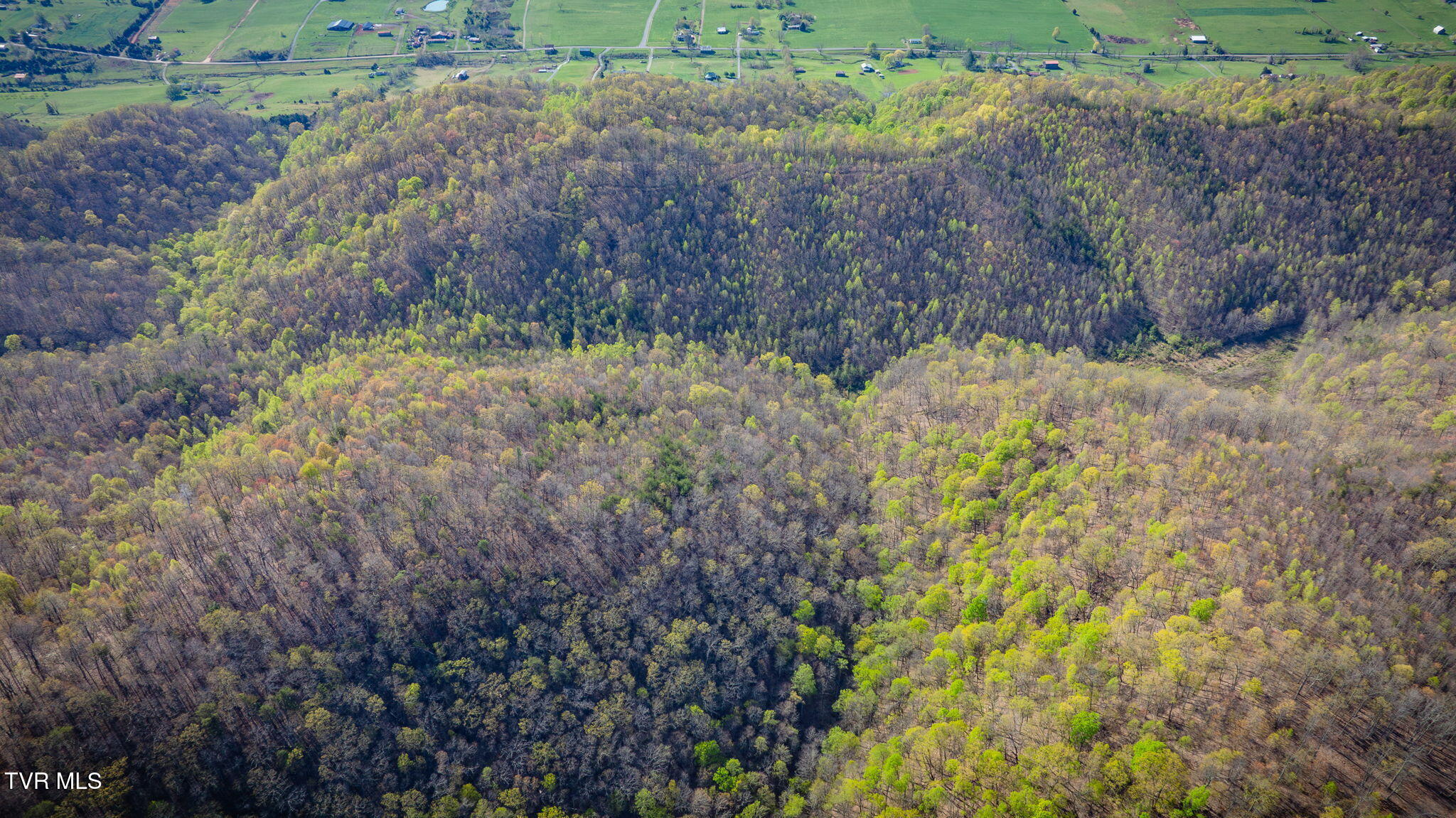 Tbd Stanley Valley Road, Surgoinsville, Tennessee image 23