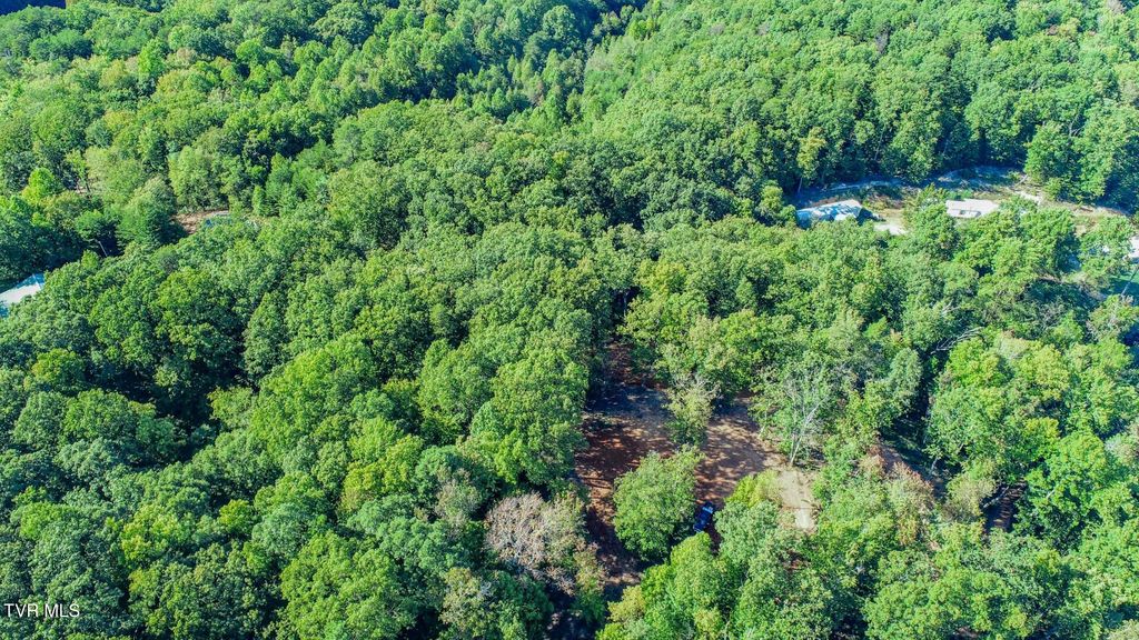 Photo of 133 Huffman Way Way, Newport, TN 37821 (MLS # 9986869)