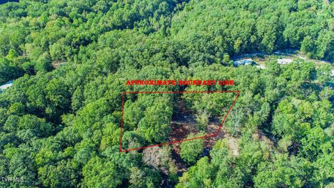Vacant Land For Sale - 133 Huffman Way Way<br/> Newport, TN 37821