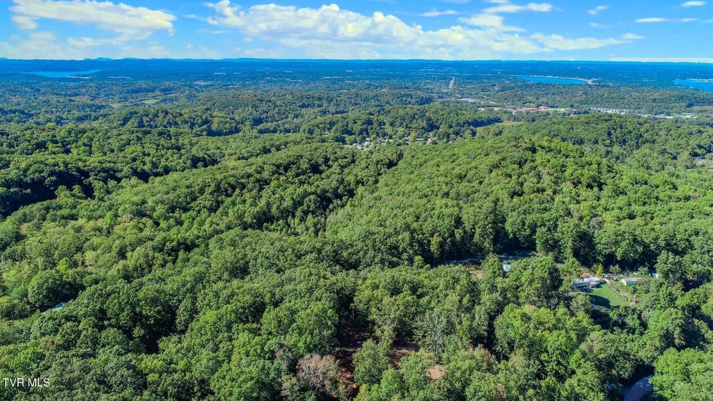 Photo of 133 Huffman Way Way, Newport, TN 37821 (MLS # 9986869)
