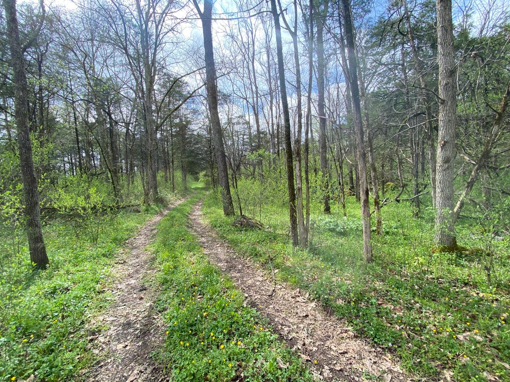 Photo of Tbd Melzoni Road, Pennington Gap, VA 24277 (MLS # 9937351)