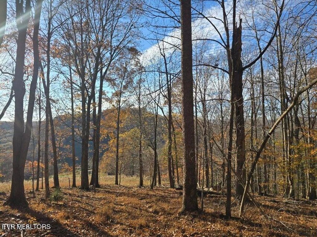 Photo of Tbd Trents Chapel Road, Sneedville, TN 37869 (MLS # 9989109)