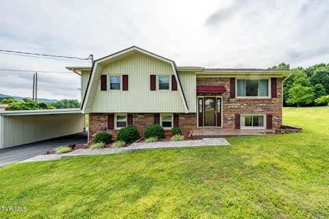 Photo of 231 Pine Laurel Circle, Bluff City, TN 37618 (MLS # 9997614)