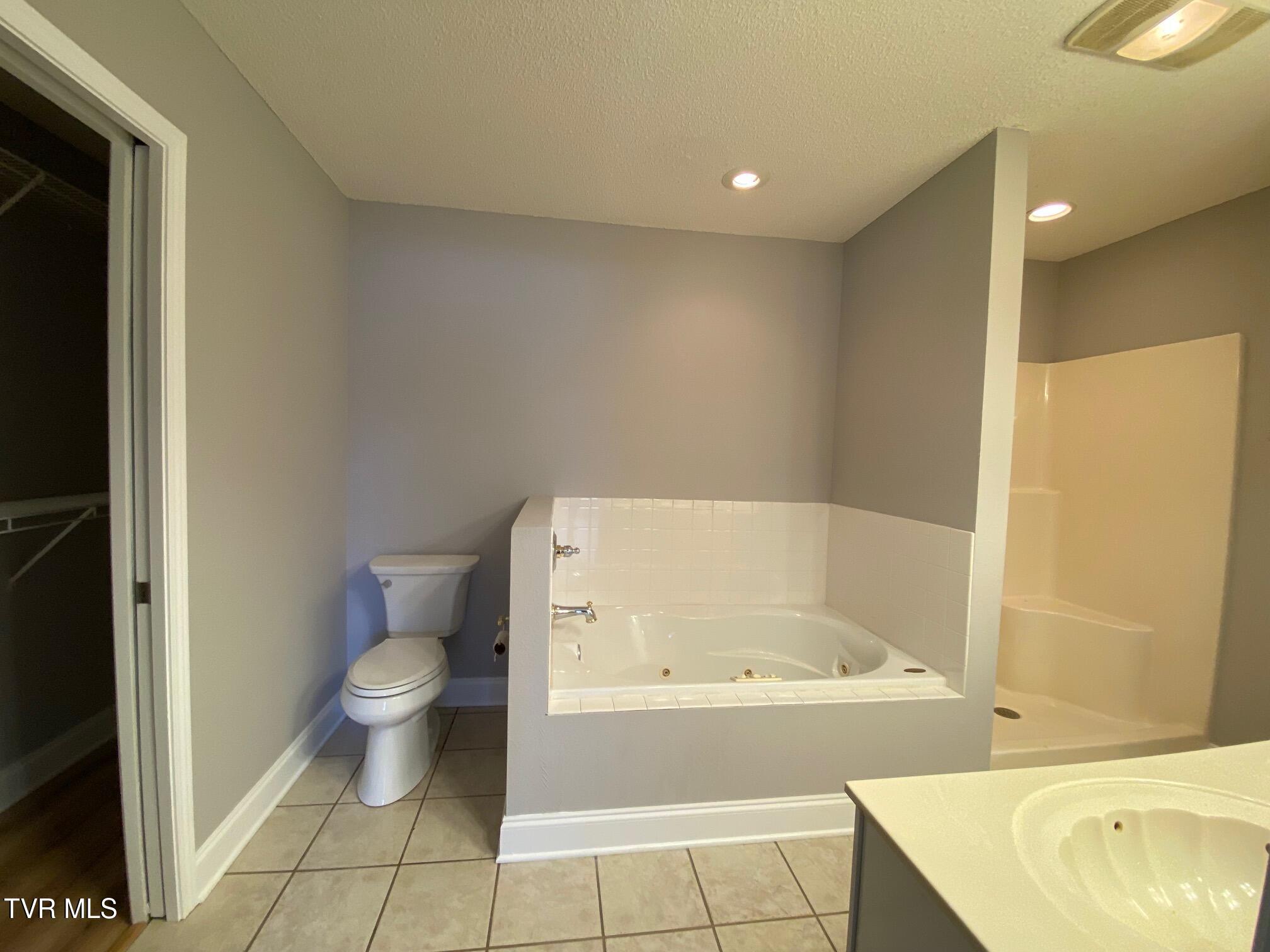 673 Sugar Hollow Road, Telford, Tennessee image 15