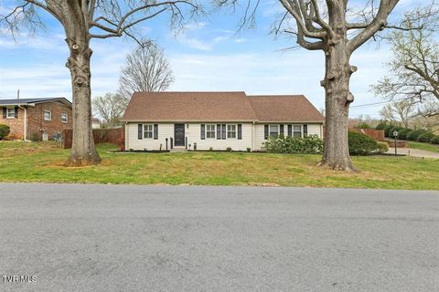 Photo of 1405 Woodmont Drive, Johnson City, TN 37601 (MLS # 9993215)