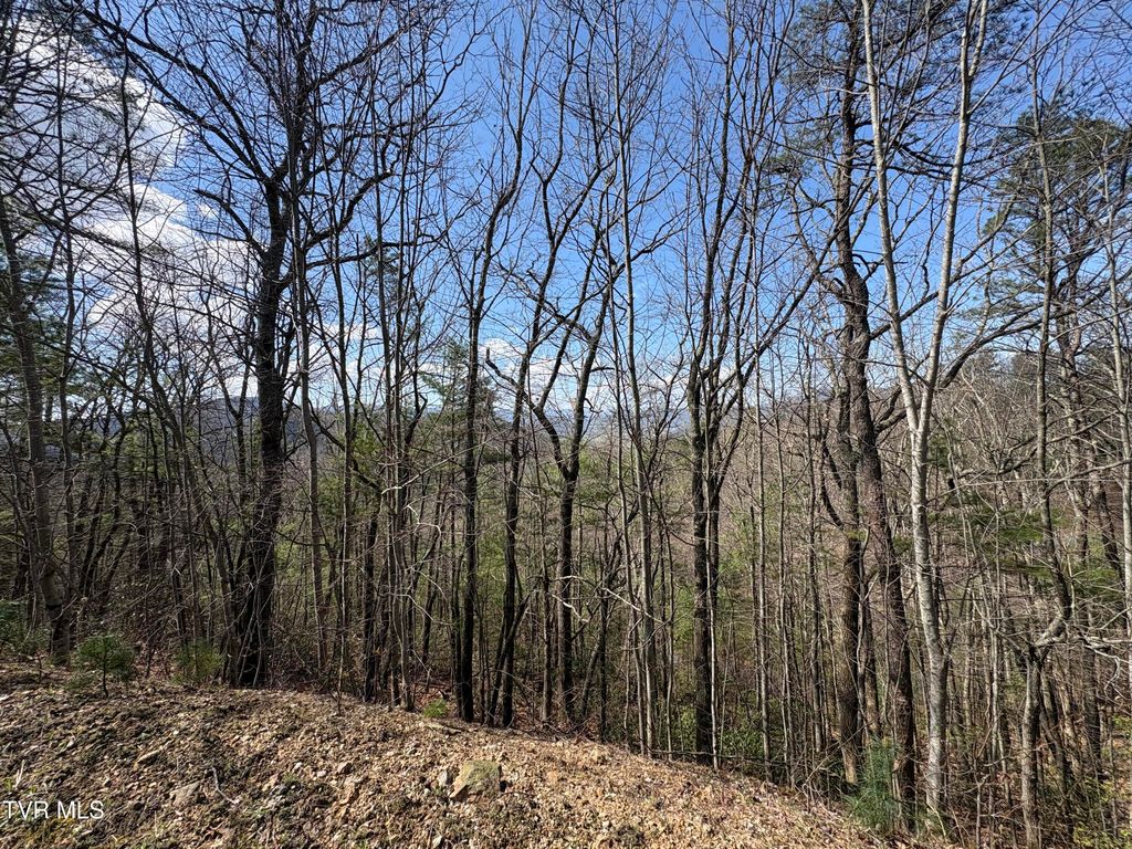 Photo of 10 Callalantee Drive, Mountain City, TN 37683 (MLS # 9993308)