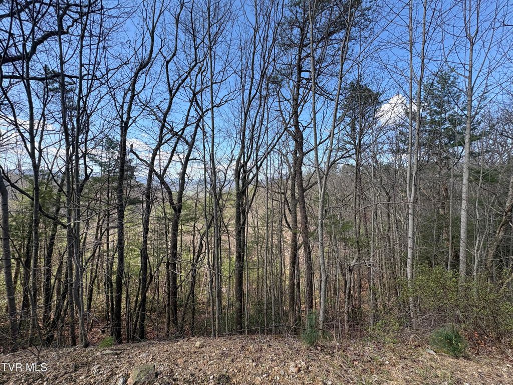 Photo of 10 Callalantee Drive, Mountain City, TN 37683 (MLS # 9993308)