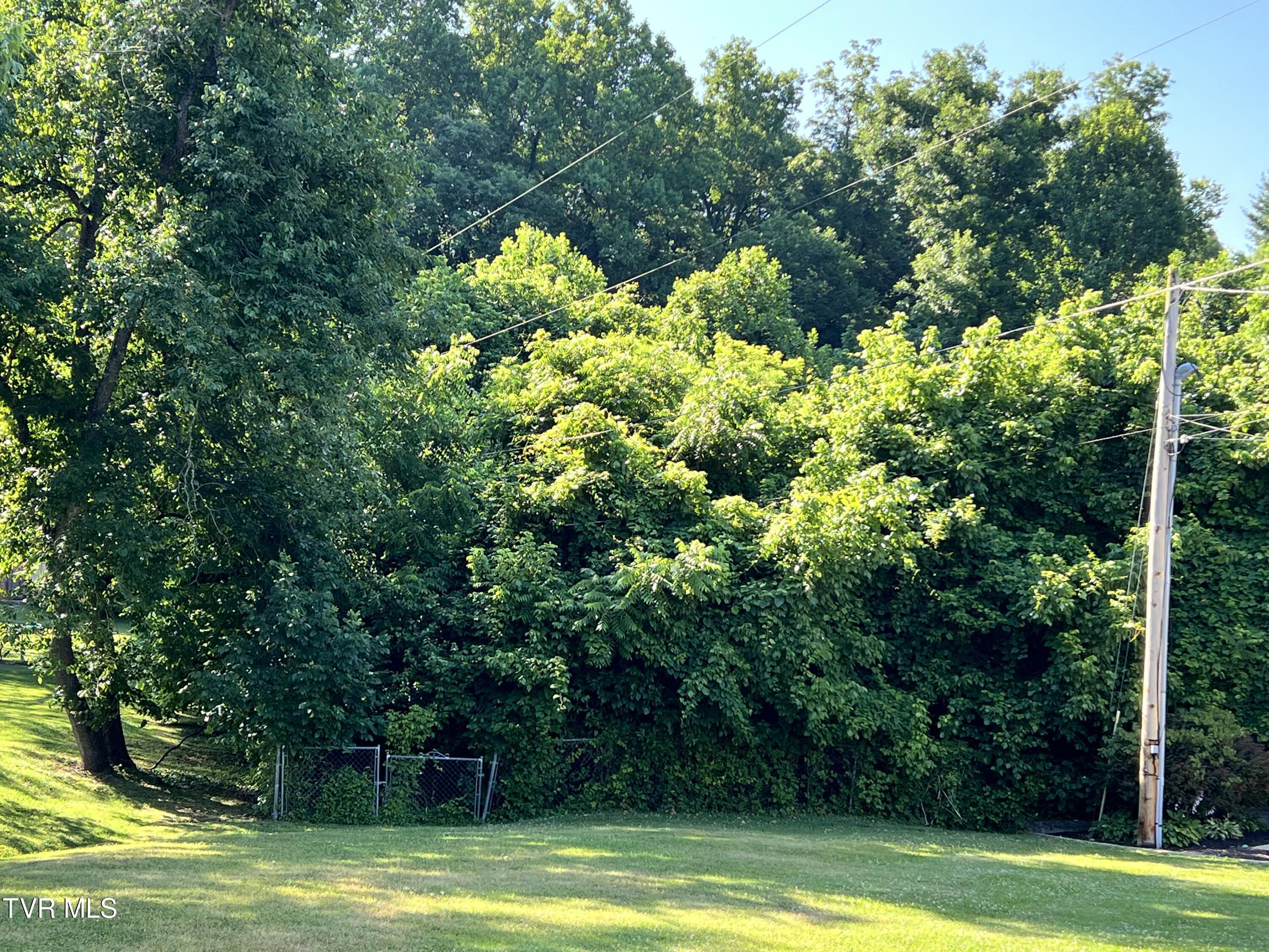 Tbd Love Street, Elizabethton, Tennessee image 1