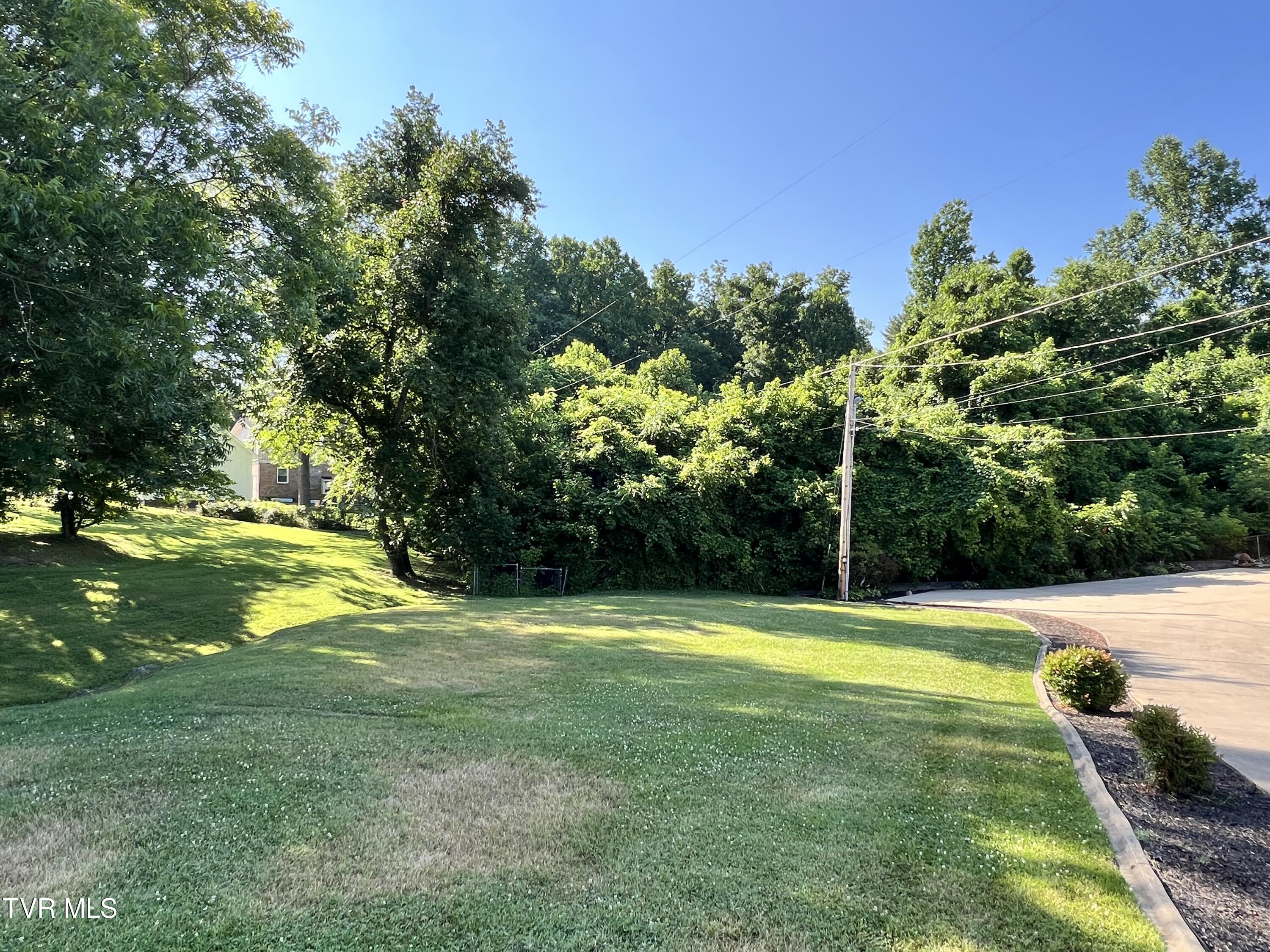 Tbd Love Street, Elizabethton, Tennessee image 3