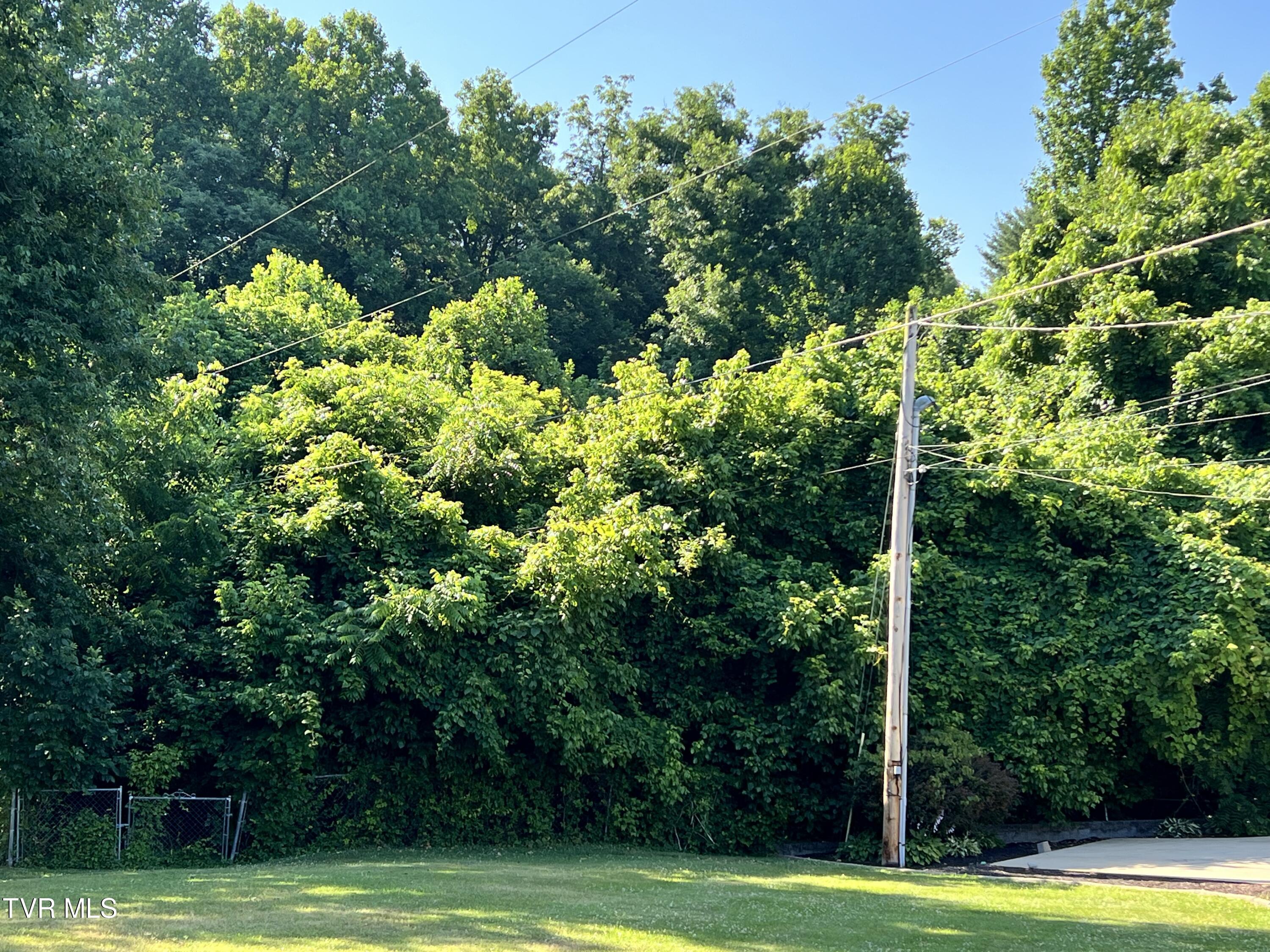 Tbd Love Street, Elizabethton, Tennessee image 2