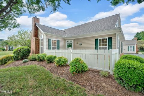 Tiny photo for 223 Avonlea Place, Johnson City, TN 37604 (MLS # 9984840)