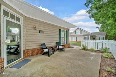 Tiny photo for 223 Avonlea Place, Johnson City, TN 37604 (MLS # 9984840)