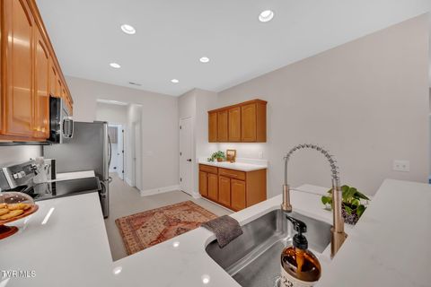 Tiny photo for 223 Avonlea Place, Johnson City, TN 37604 (MLS # 9984840)