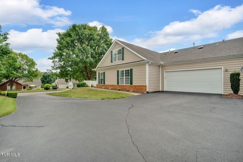 Tiny photo for 223 Avonlea Place, Johnson City, TN 37604 (MLS # 9984840)