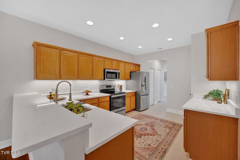 Tiny photo for 223 Avonlea Place, Johnson City, TN 37604 (MLS # 9984840)
