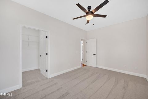 Tiny photo for 223 Avonlea Place, Johnson City, TN 37604 (MLS # 9984840)