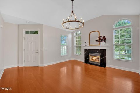 Tiny photo for 223 Avonlea Place, Johnson City, TN 37604 (MLS # 9984840)