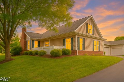 Tiny photo for 223 Avonlea Place, Johnson City, TN 37604 (MLS # 9984840)