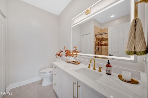 Tiny photo for 223 Avonlea Place, Johnson City, TN 37604 (MLS # 9984840)