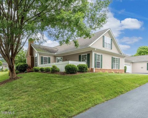 Tiny photo for 223 Avonlea Place, Johnson City, TN 37604 (MLS # 9984840)