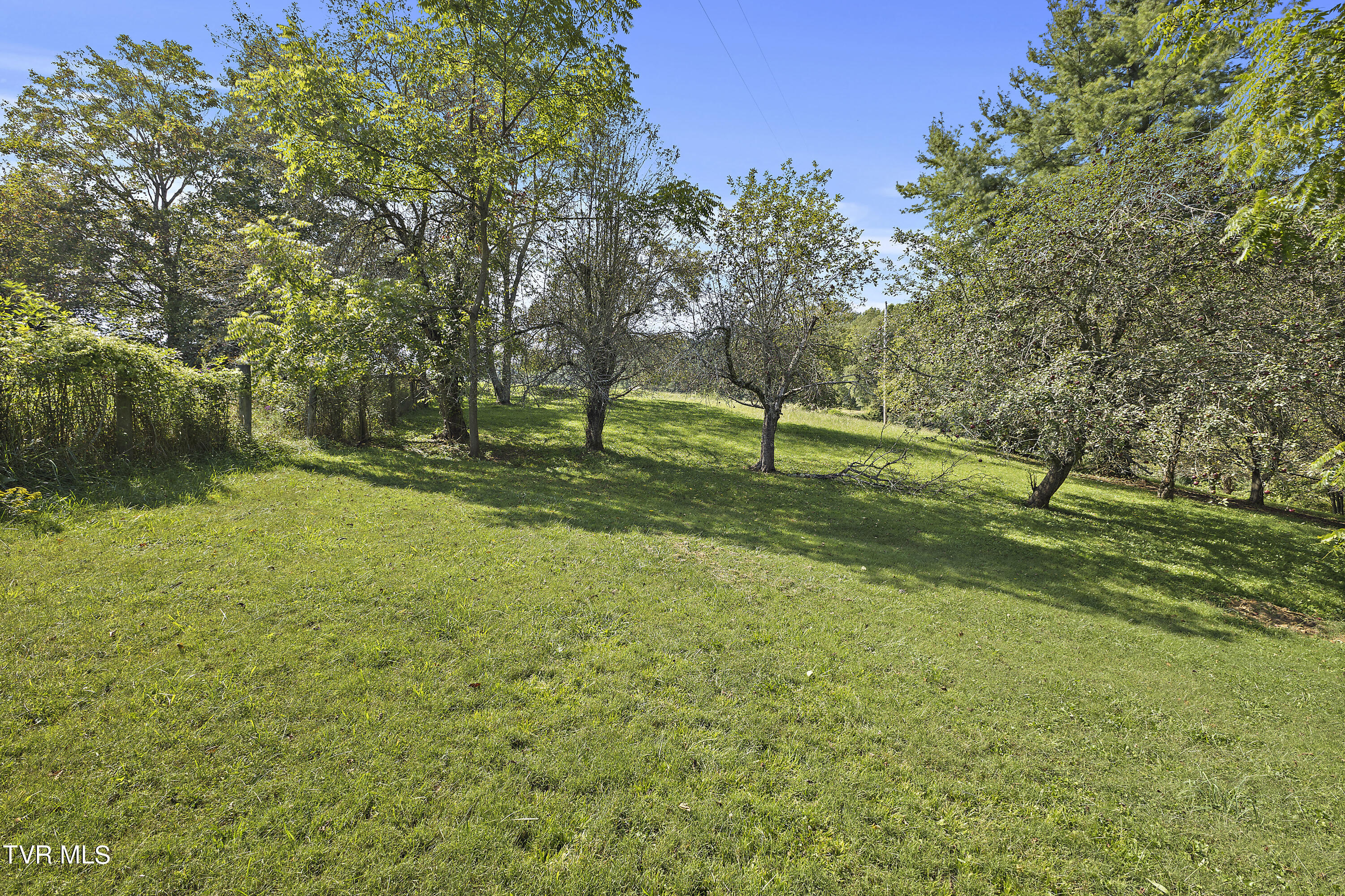 1802 Winchester Road Rd, Shady Valley, Tennessee image 29