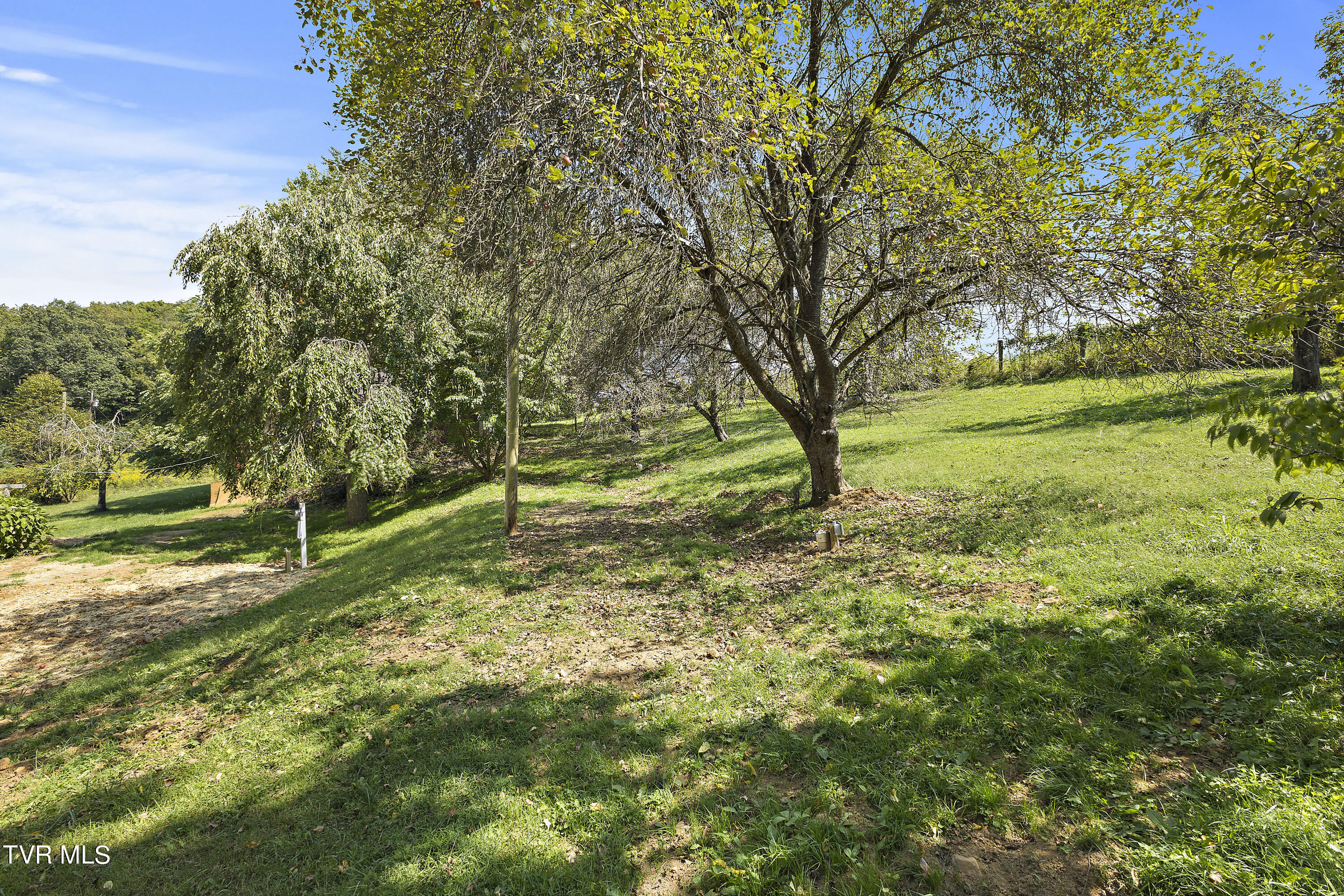 1802 Winchester Road Rd, Shady Valley, Tennessee image 30