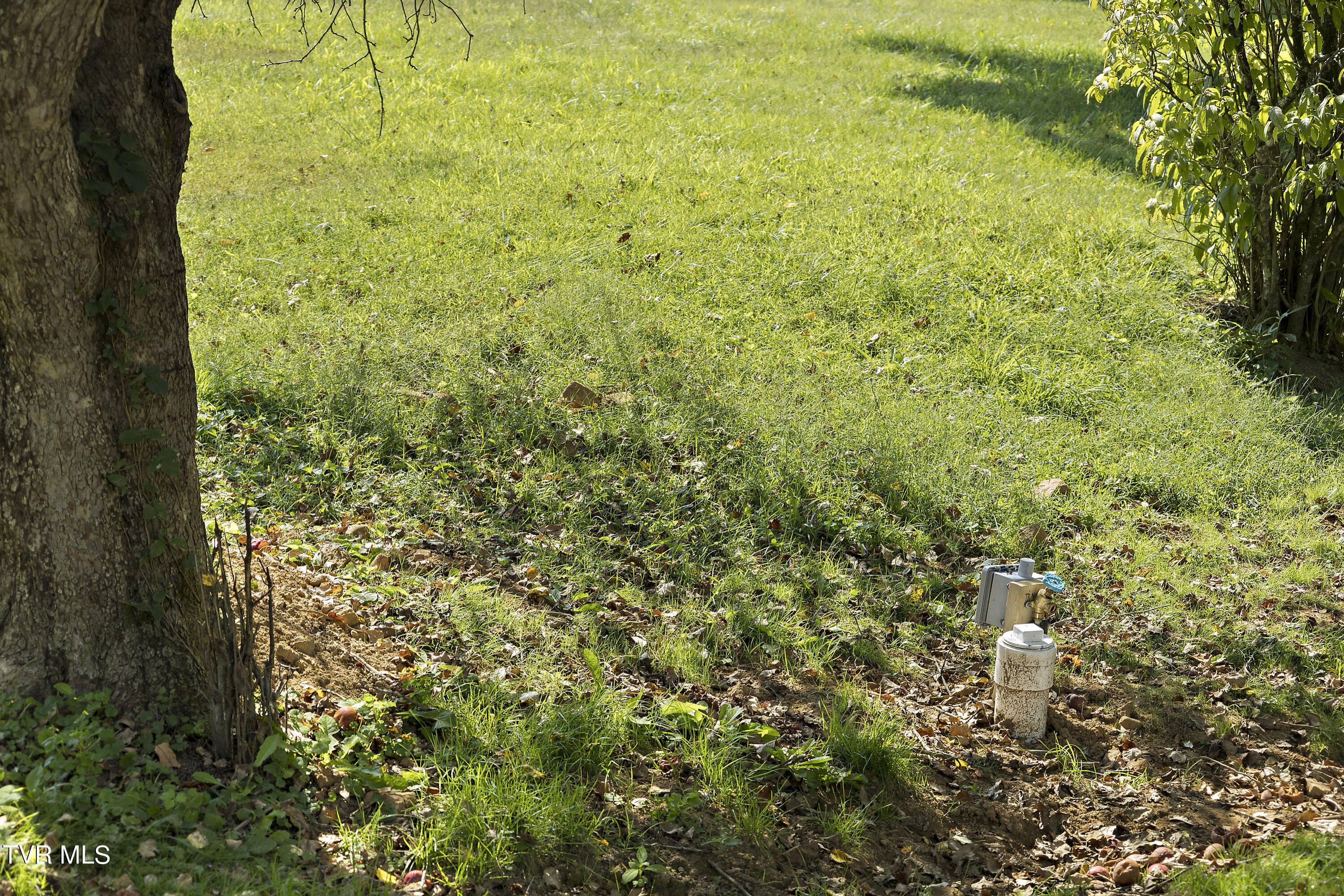 1802 Winchester Road Rd, Shady Valley, Tennessee image 22