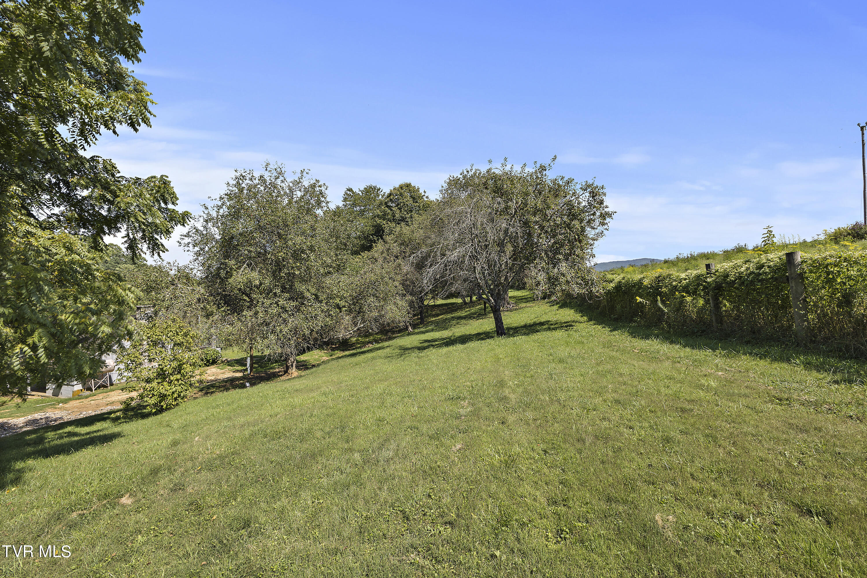 1802 Winchester Road Rd, Shady Valley, Tennessee image 28