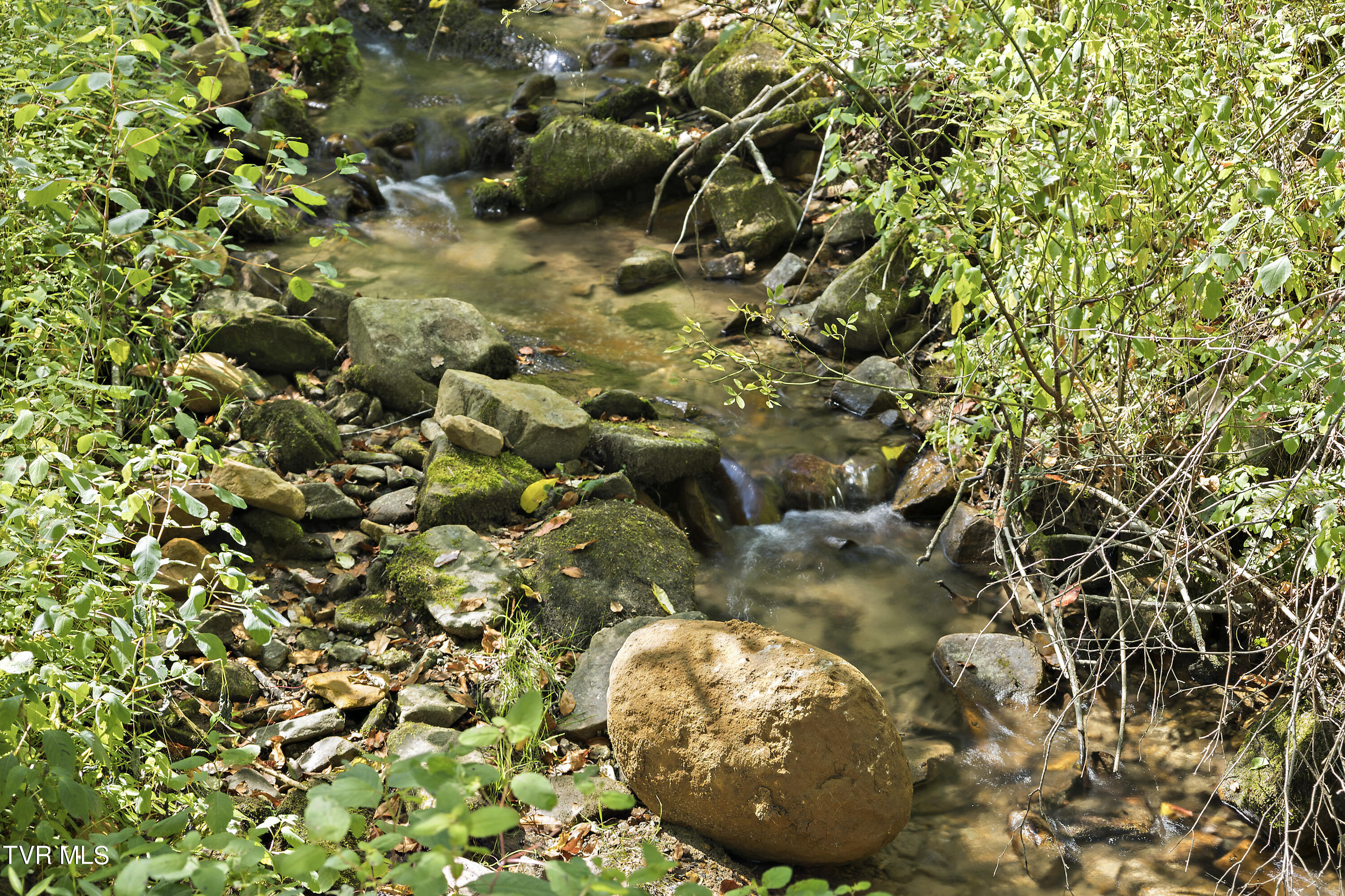 1802 Winchester Road Rd, Shady Valley, Tennessee image 18