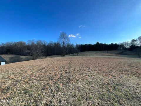 Vacant Land For Sale - 1145 Reynolds Road<br/> Piney Flats, TN 37686