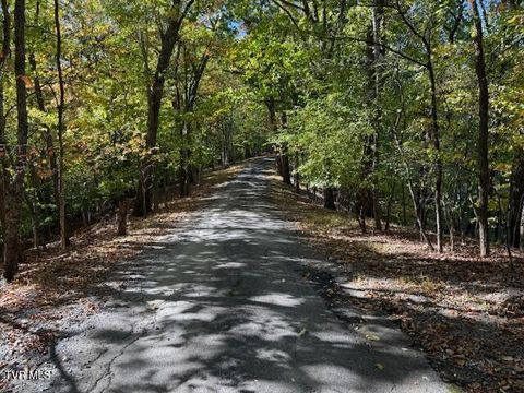 Vacant Land For Sale - TBD Clifton Road<br/> Bristol, TN 37620