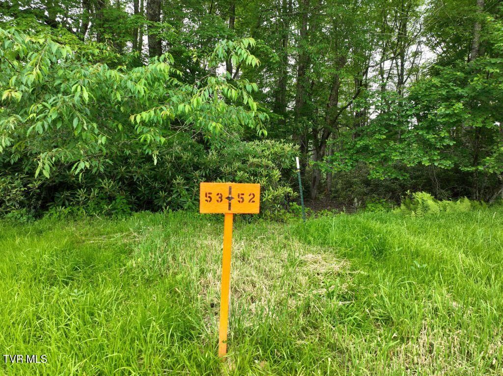 Photo of 1764 Ripshin Mountain Road, Roan Mountain, TN 37687 (MLS # 9992738)