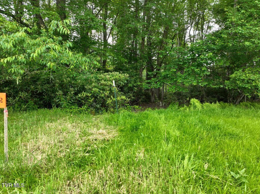 Photo of 1764 Ripshin Mountain Road, Roan Mountain, TN 37687 (MLS # 9992738)
