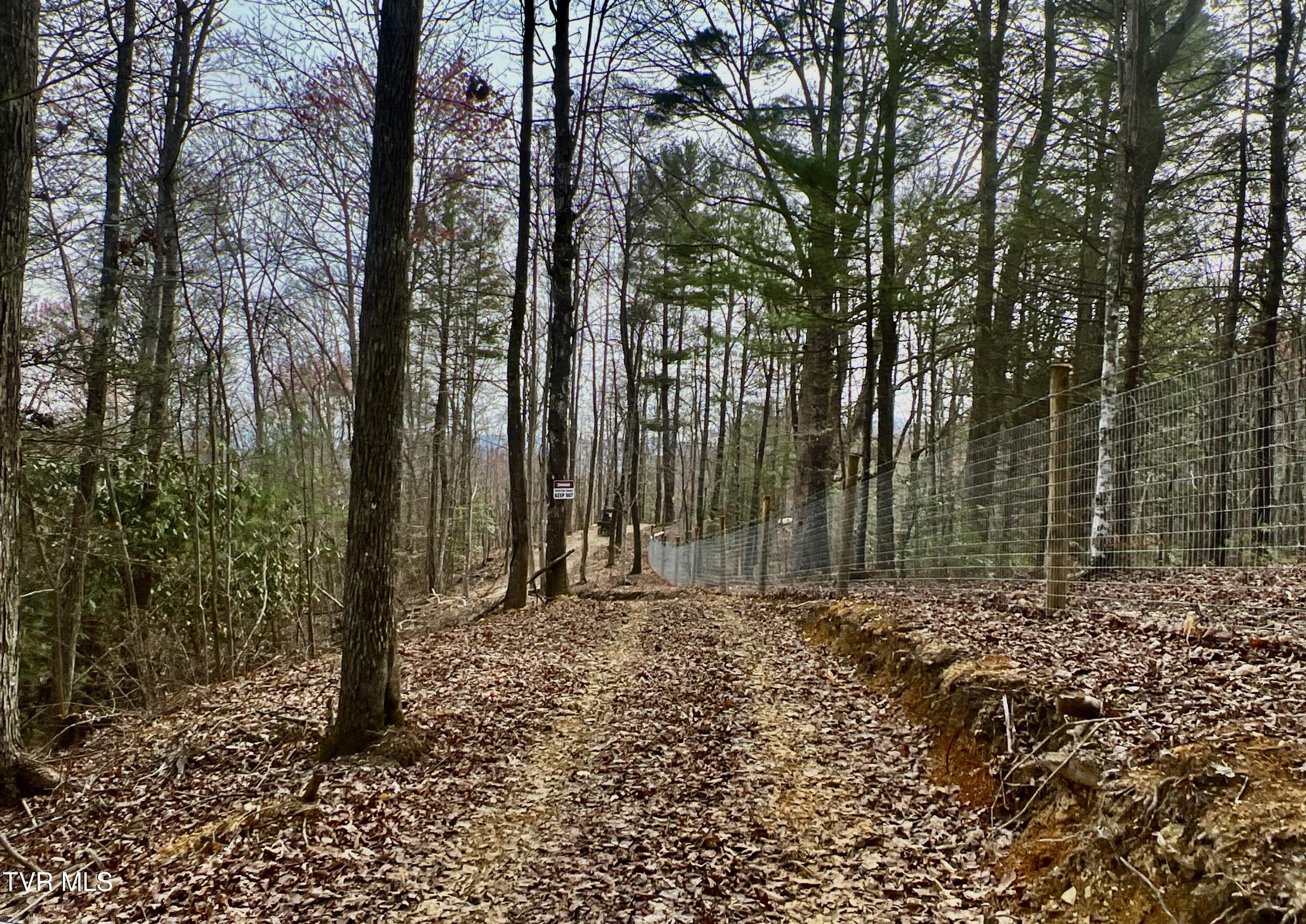 538 Punkton Road, Del Rio, Tennessee image 48