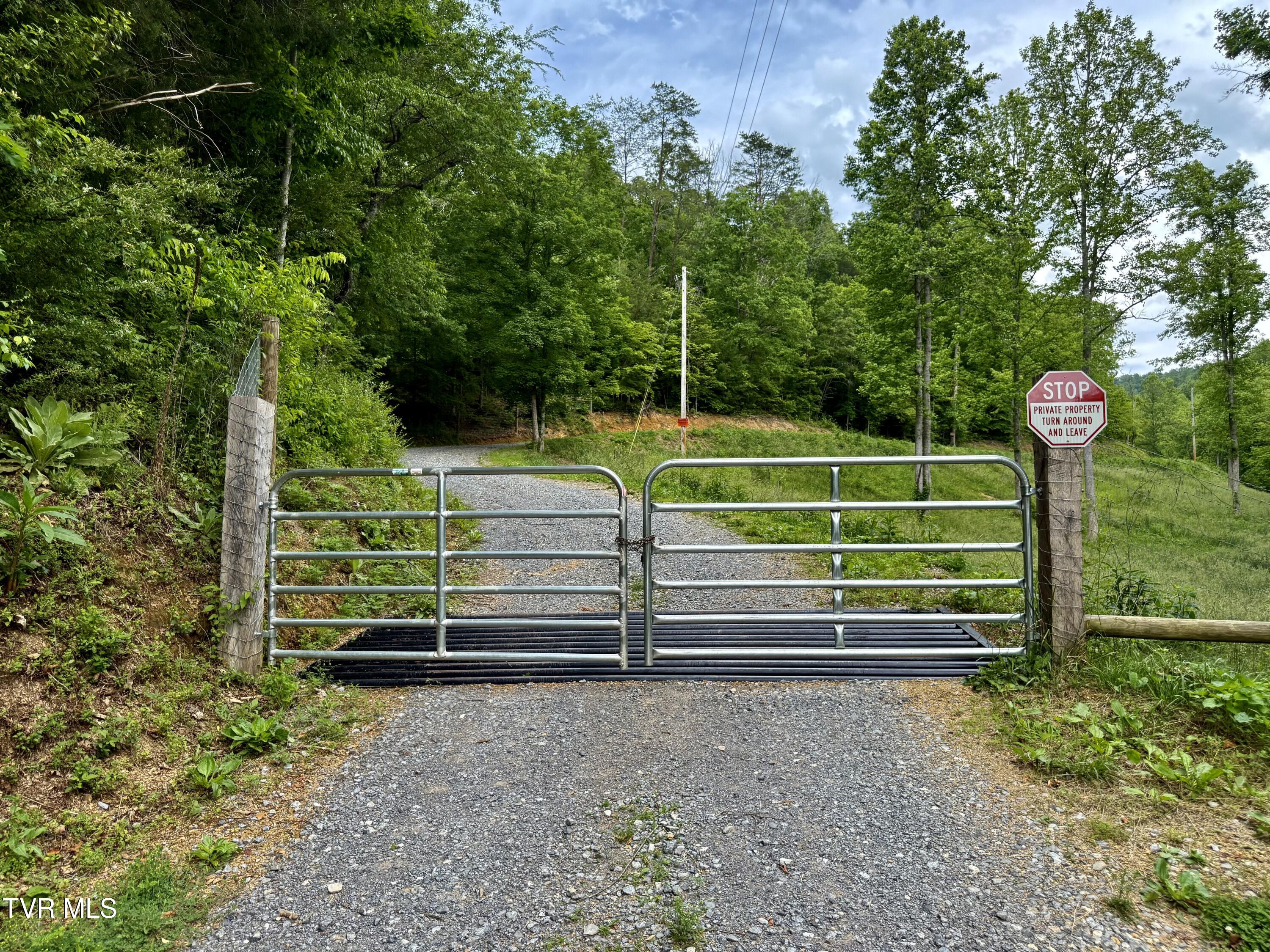 538 Punkton Road, Del Rio, Tennessee image 4