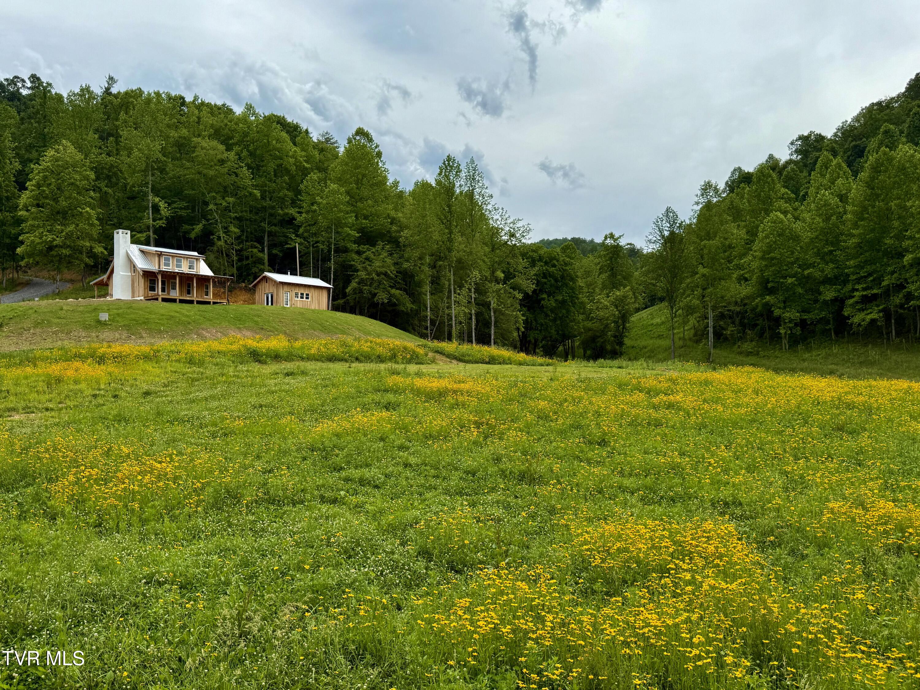 538 Punkton Road, Del Rio, Tennessee image 9