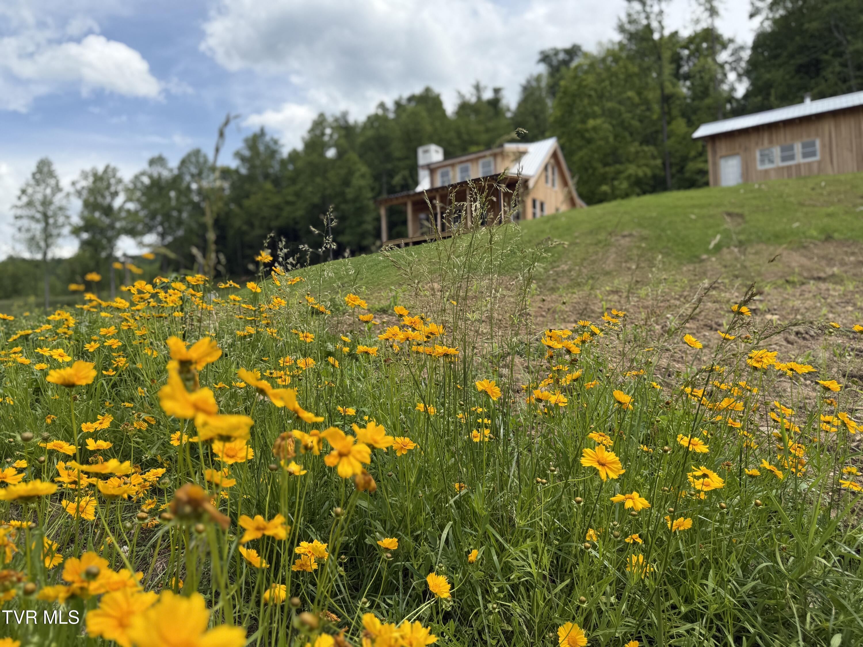 538 Punkton Road, Del Rio, Tennessee image 29