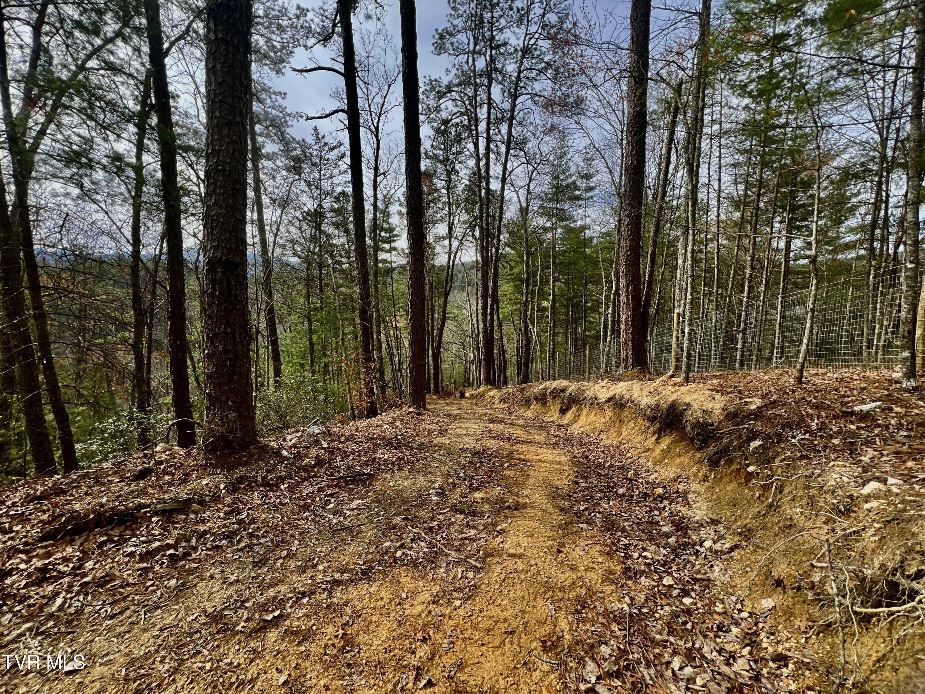 538 Punkton Road, Del Rio, Tennessee image 49