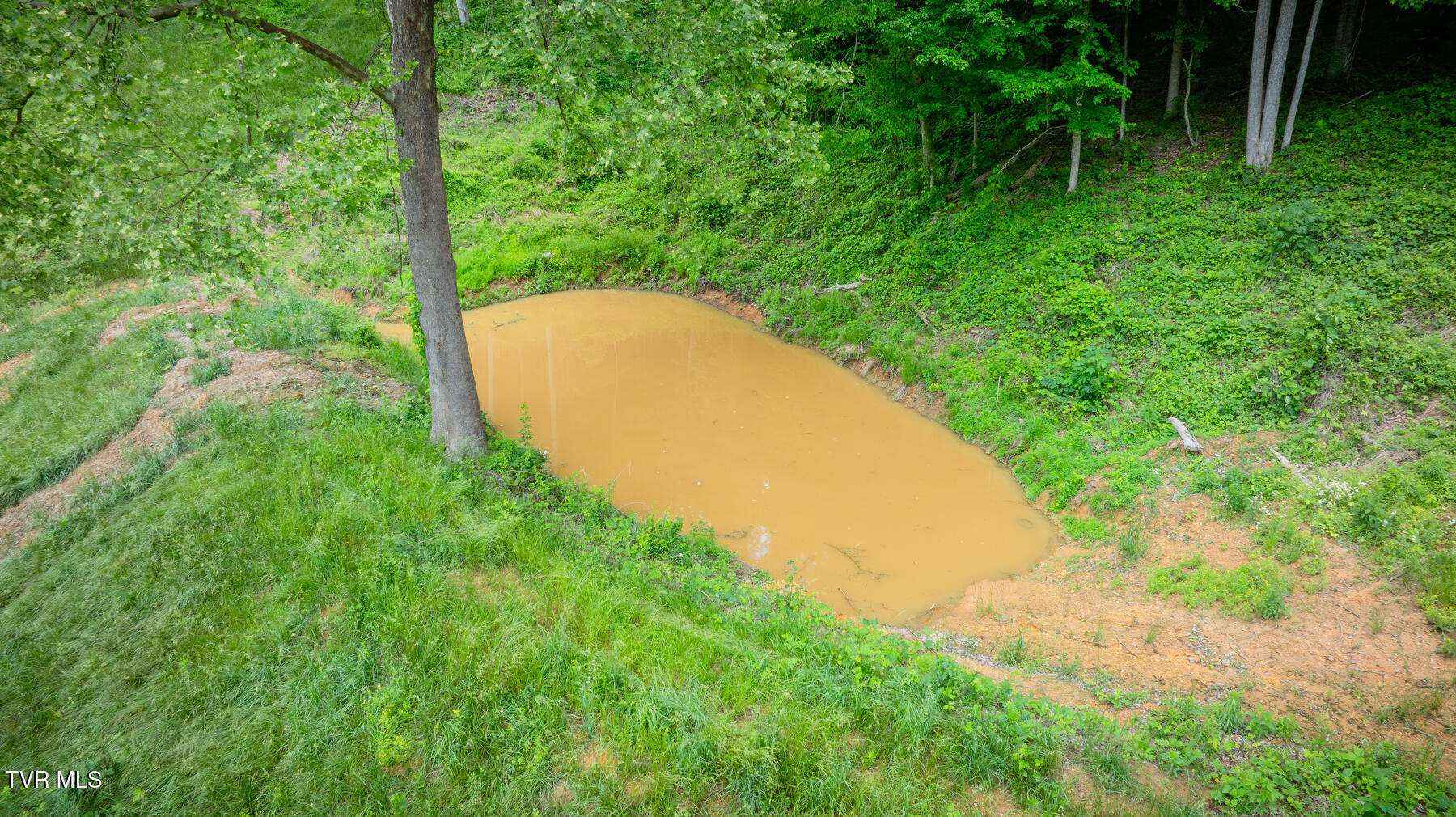 538 Punkton Road, Del Rio, Tennessee image 39