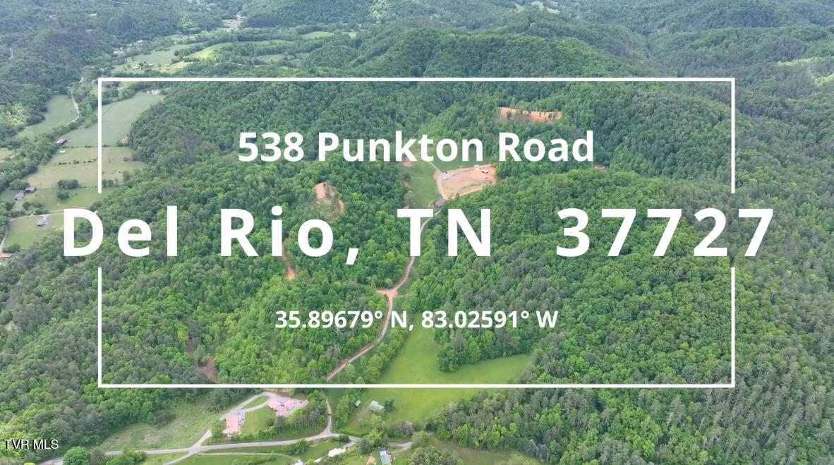 538 Punkton Road, Del Rio, Tennessee image 2
