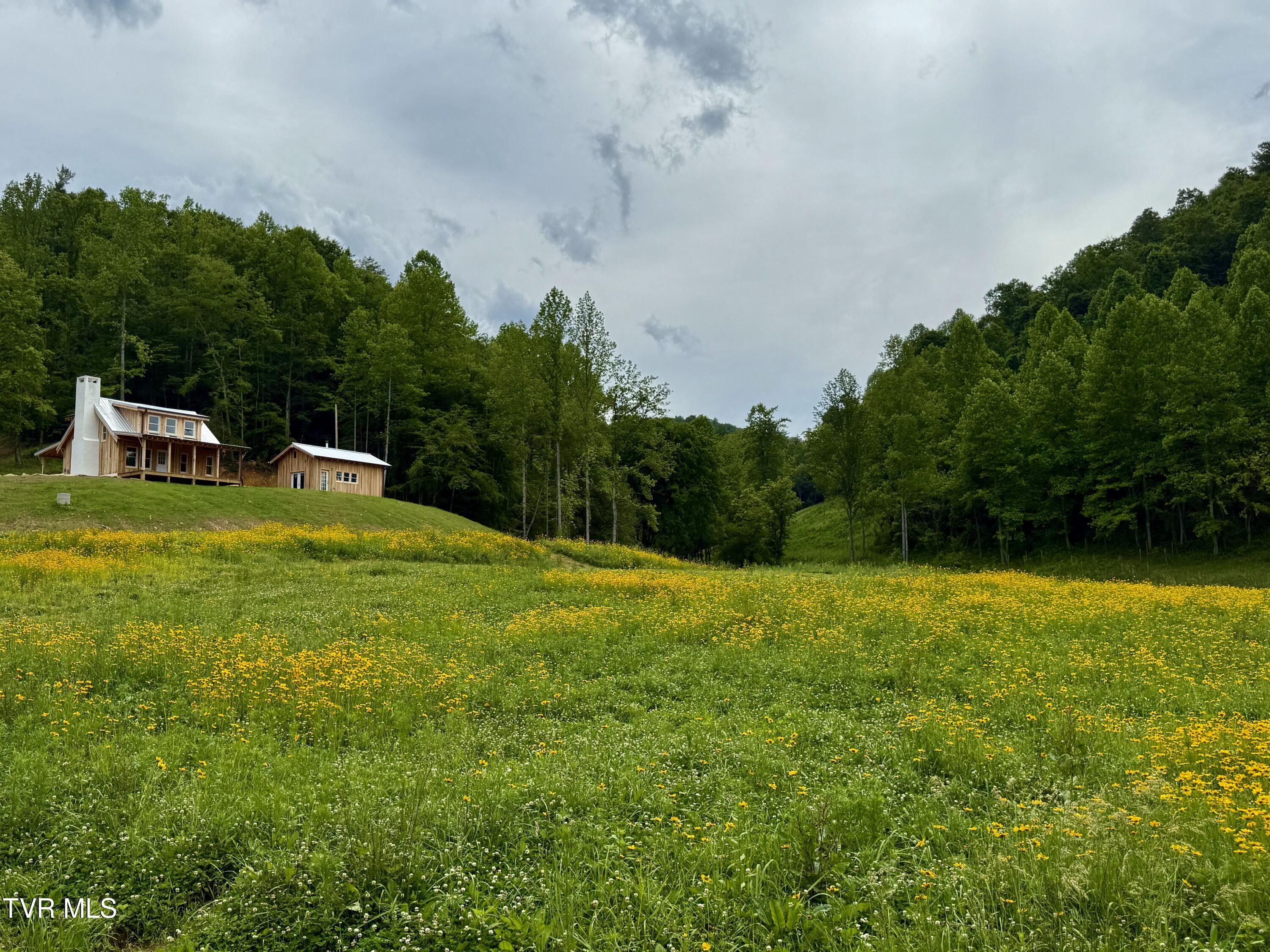 538 Punkton Road, Del Rio, Tennessee image 8