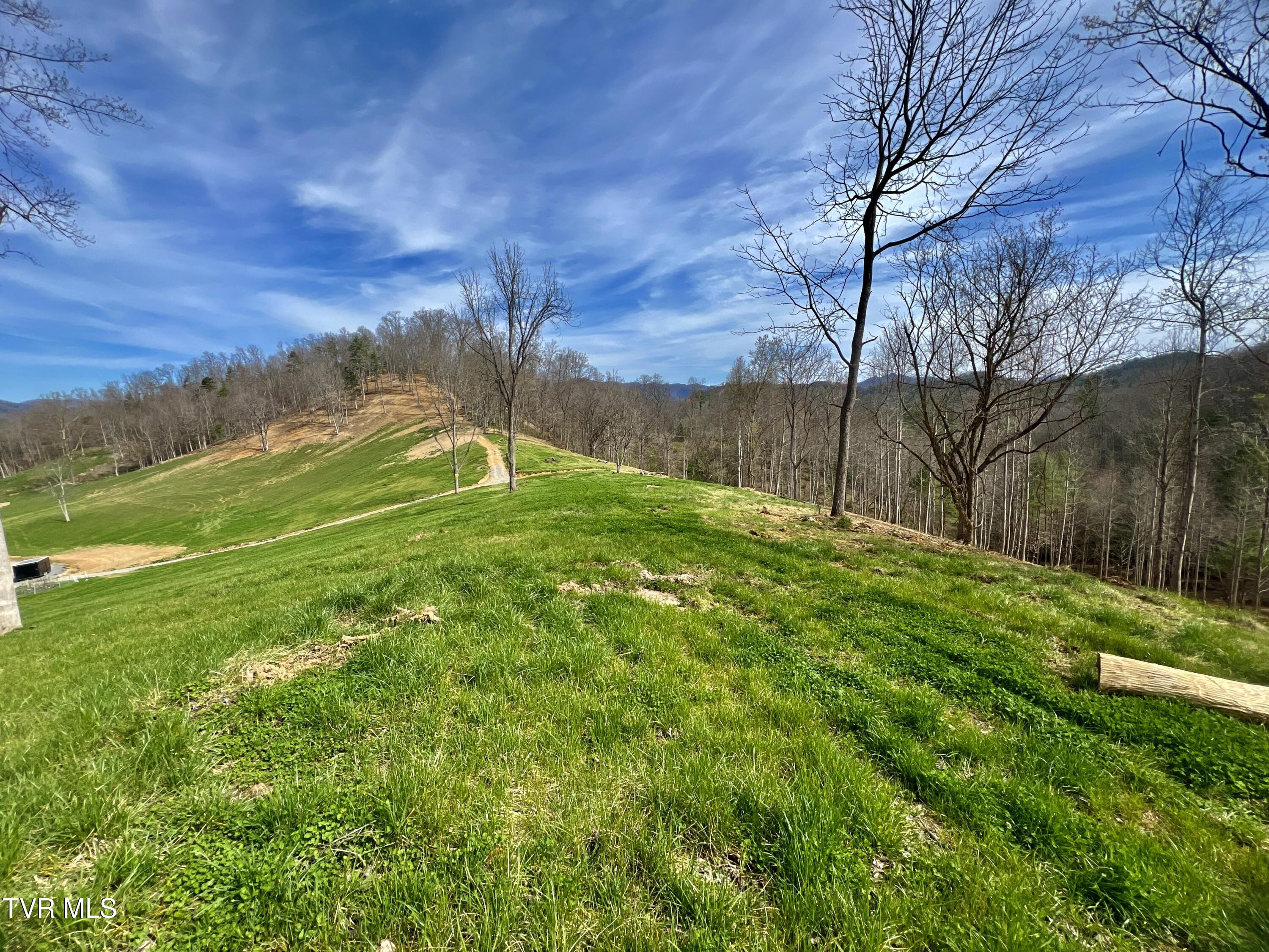 538 Punkton Road, Del Rio, Tennessee image 46
