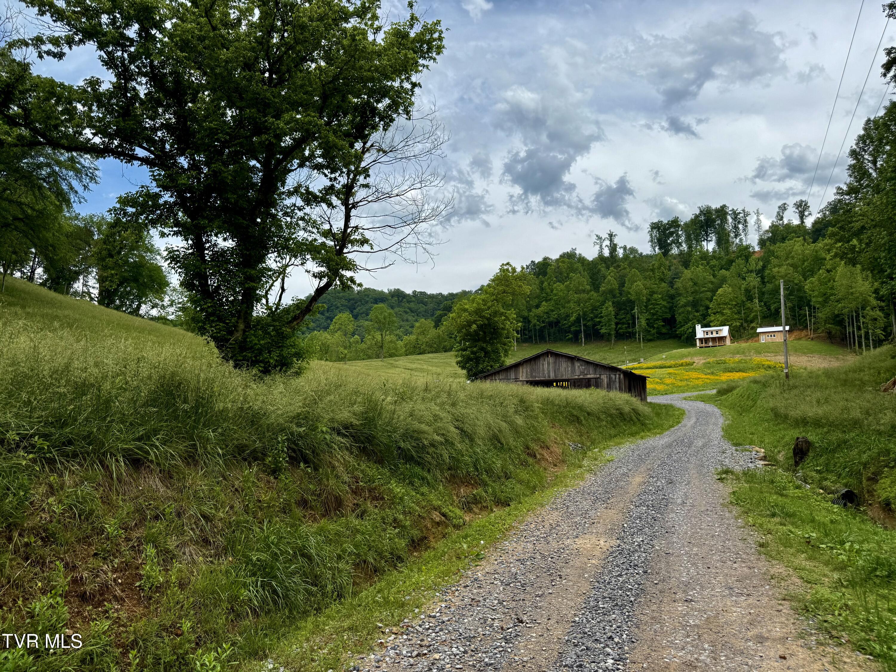 538 Punkton Road, Del Rio, Tennessee image 6