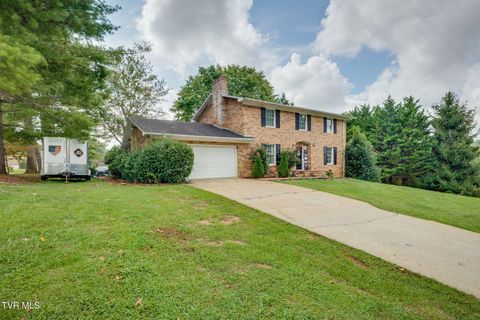 Tiny photo for 1201 Meadow Lane, Kingsport, TN 37663 (MLS # 9986395)