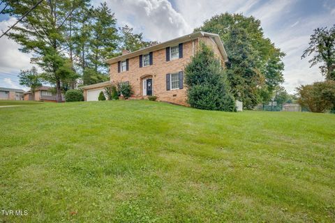 Tiny photo for 1201 Meadow Lane, Kingsport, TN 37663 (MLS # 9986395)