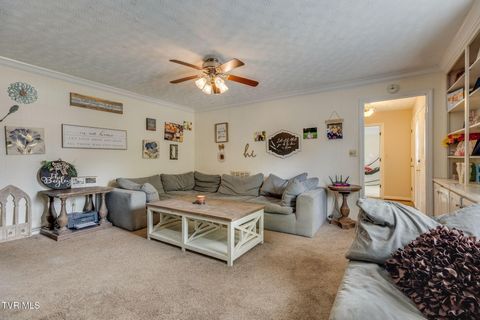 Tiny photo for 1201 Meadow Lane, Kingsport, TN 37663 (MLS # 9986395)