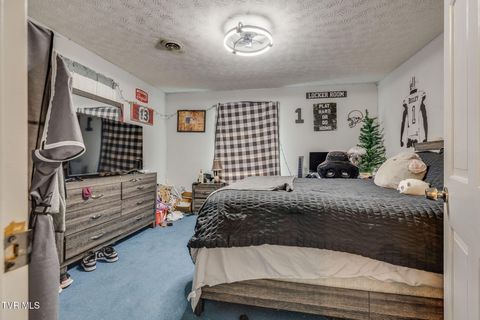 Tiny photo for 1201 Meadow Lane, Kingsport, TN 37663 (MLS # 9986395)