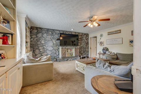 Tiny photo for 1201 Meadow Lane, Kingsport, TN 37663 (MLS # 9986395)