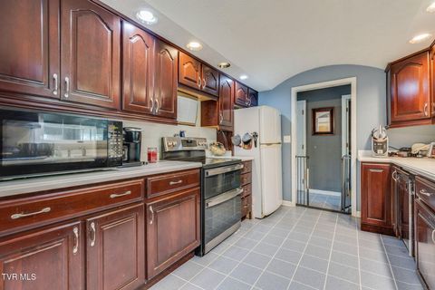 Tiny photo for 1201 Meadow Lane, Kingsport, TN 37663 (MLS # 9986395)