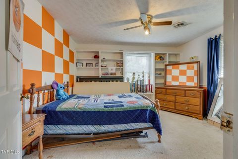 Tiny photo for 1201 Meadow Lane, Kingsport, TN 37663 (MLS # 9986395)